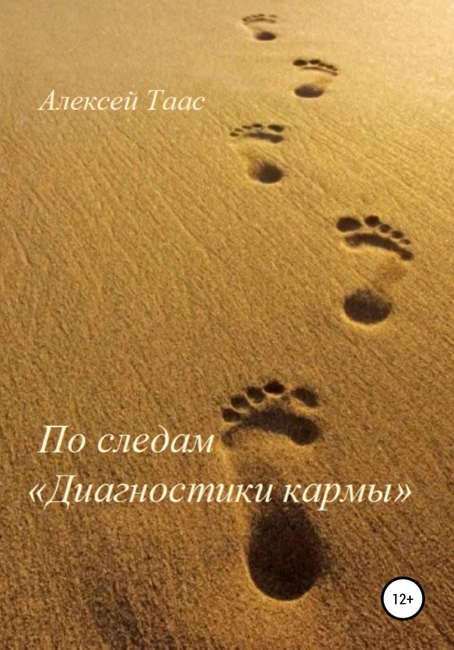 Обложка По следам «Диагностики кармы»