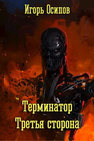 Обложка Терминатор. Третья сторона
