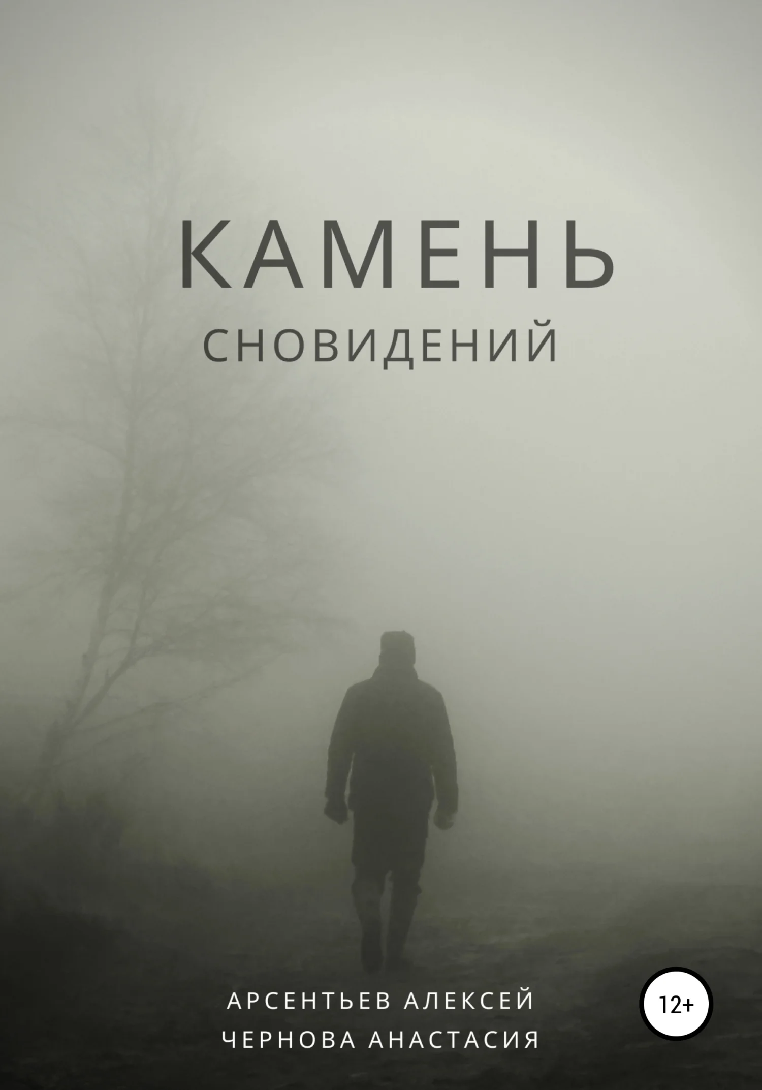 Обложка Камень сновидений