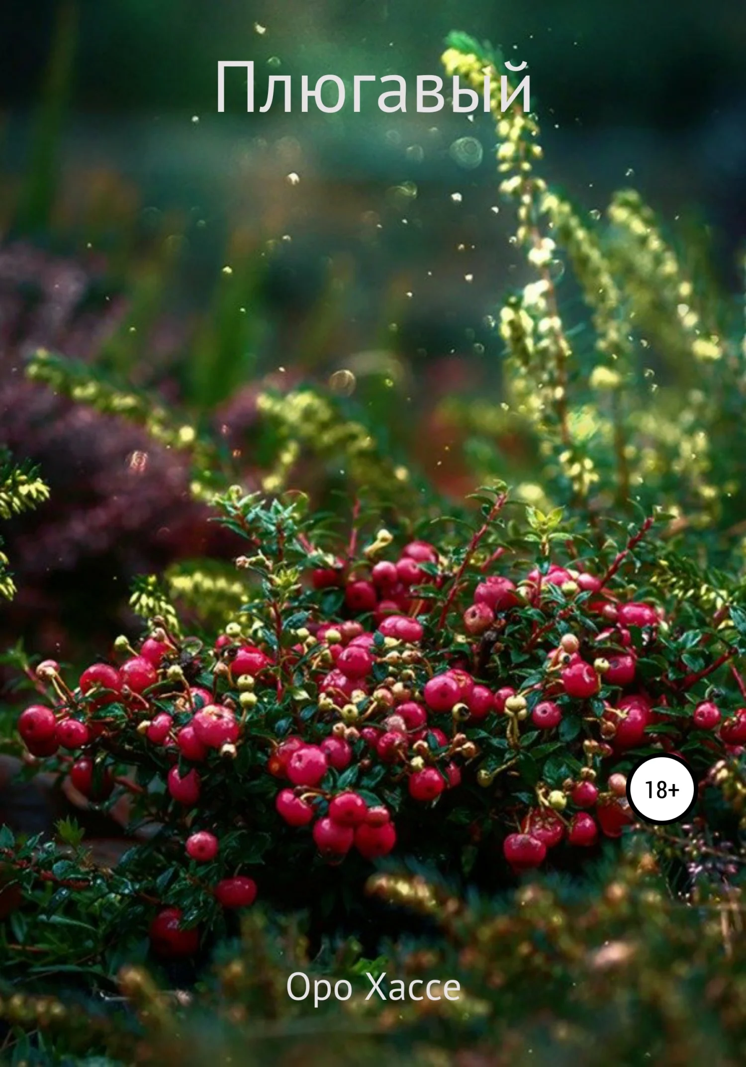 Обложка Плюгавый