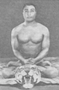 Обложка Пранаяма. Сознательный способ дыхания.