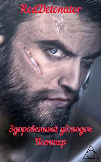 Обложка Здоровенный ублюдок Поттер 1