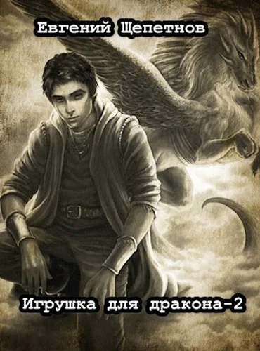 Обложка Игрушка для дракона 2