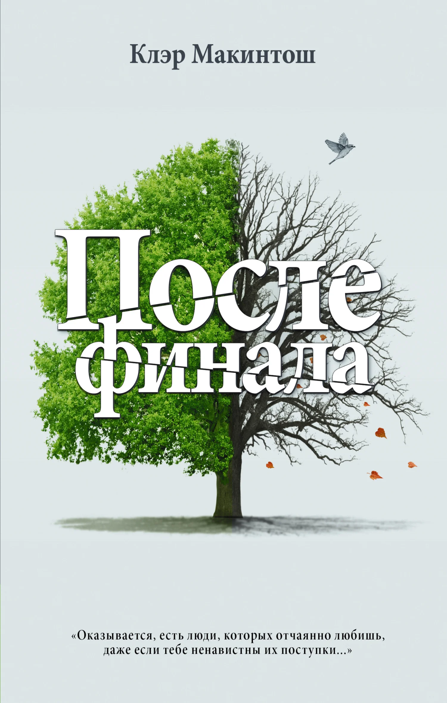 Обложка После финала