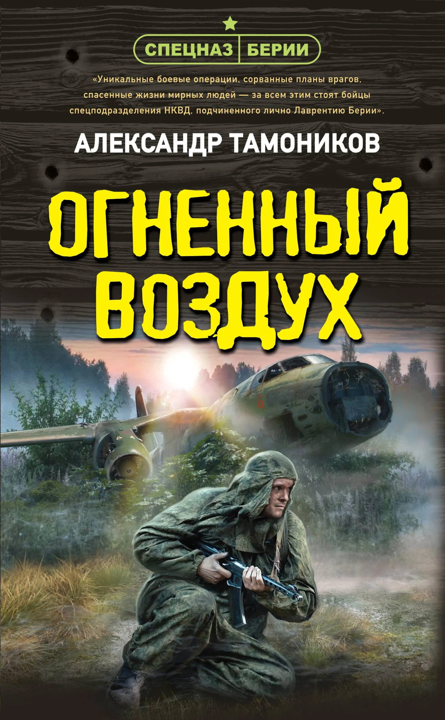 Обложка Огненный воздух