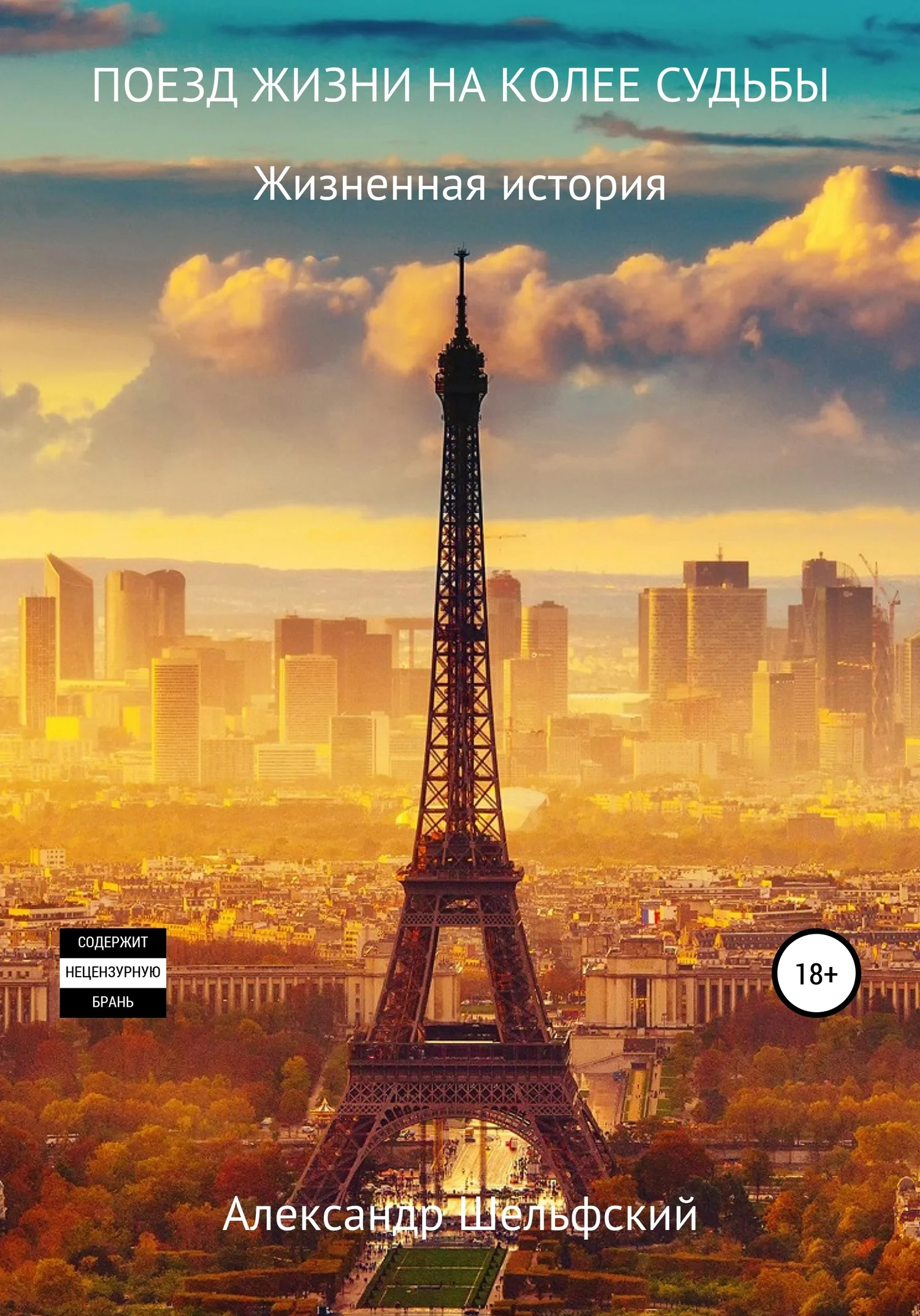 Обложка Поезд жизни на колее судьбы