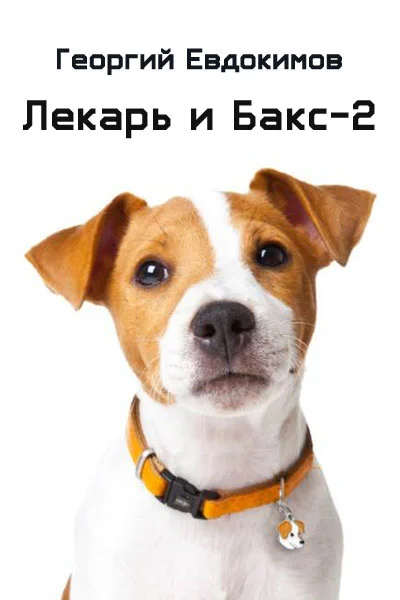 Обложка Лекарь и Бакс-2