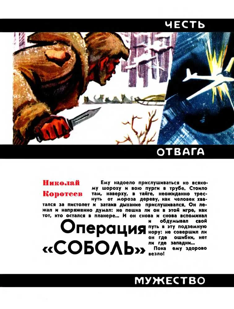 Обложка Операция «Соболь»