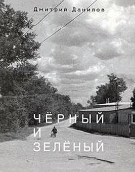 Обложка Черный и зеленый