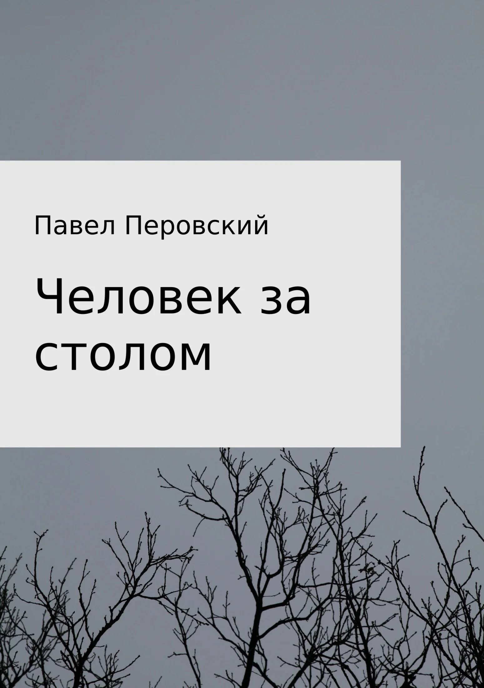 Обложка Человек за столом