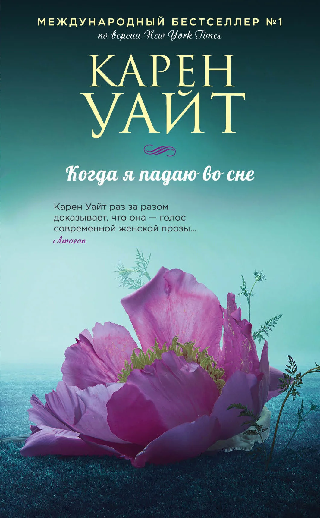 Обложка Когда я падаю во сне