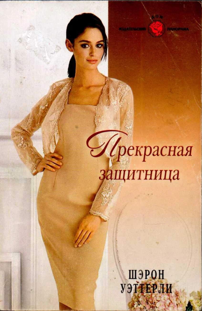 Обложка Прекрасная защитница