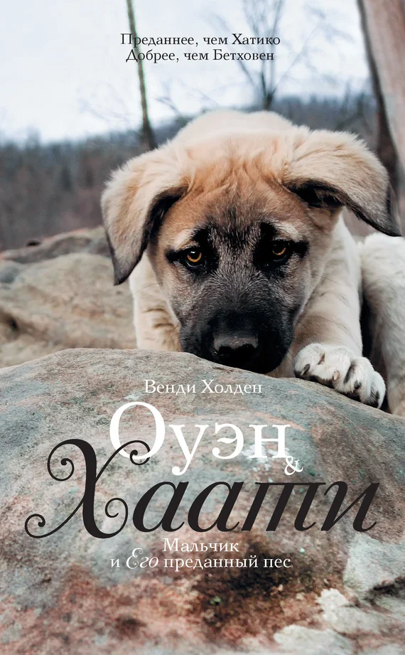 Обложка Оуэн & Хаати. Мальчик и его преданный пес
