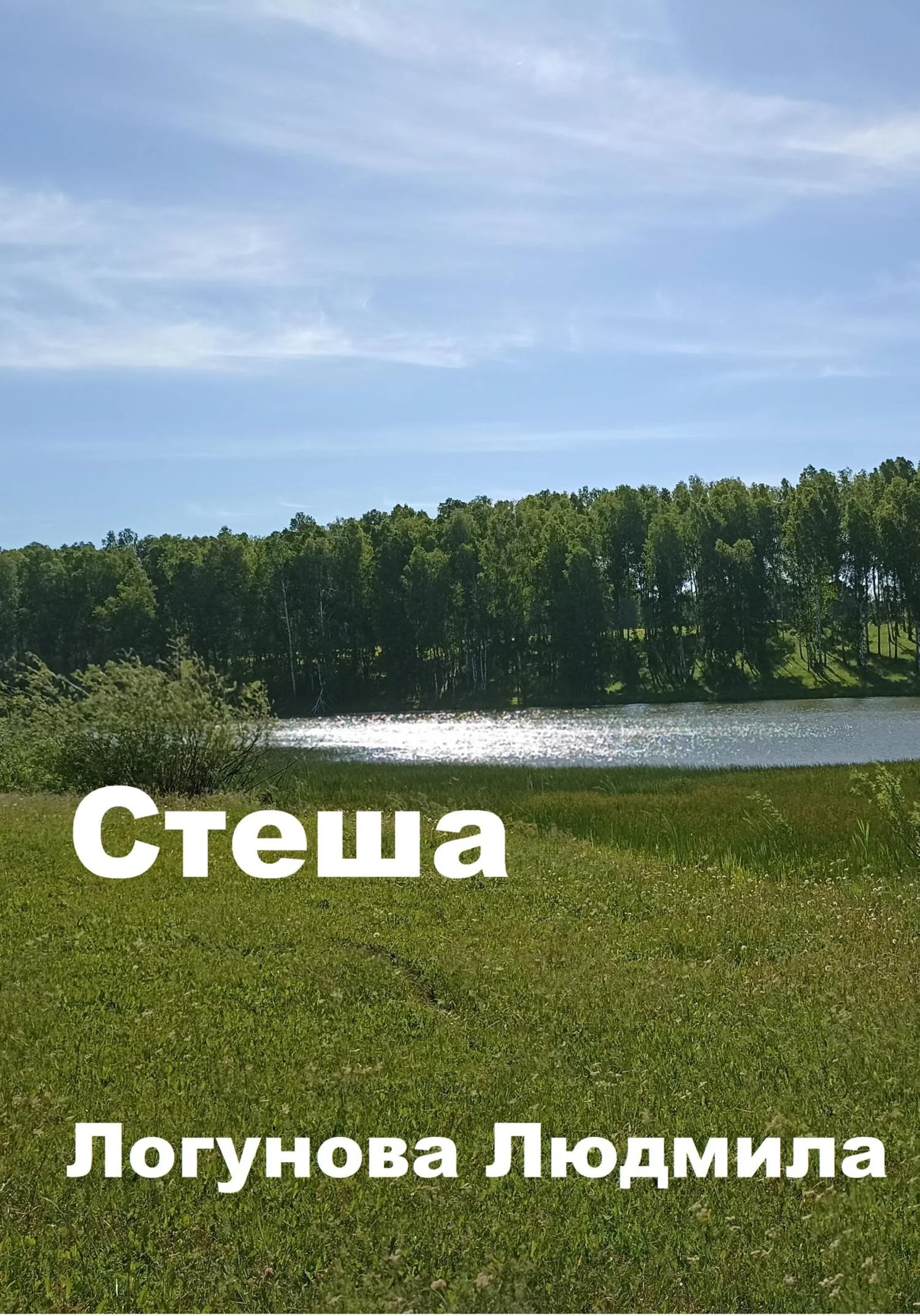 Обложка Стеша