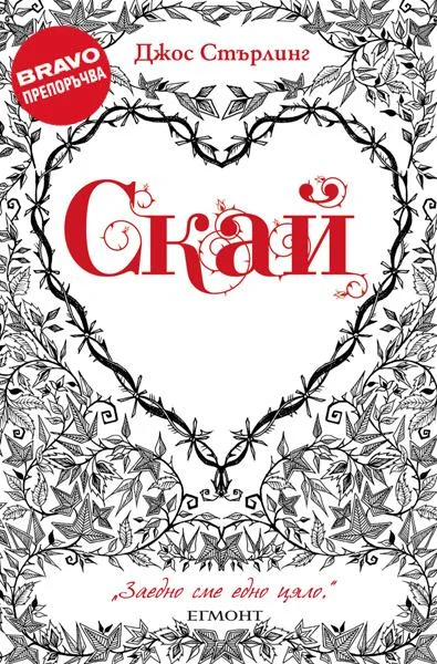 Обложка Скай