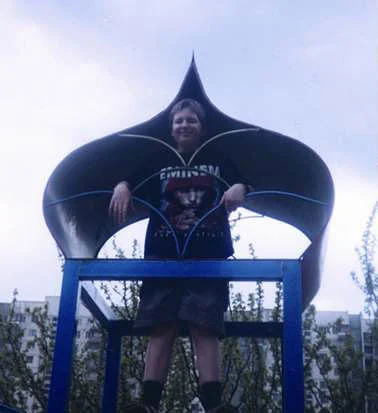 Обложка Тинейджерский роман