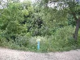 Обложка Евреи в Мстиславле. Материалы к истории города.