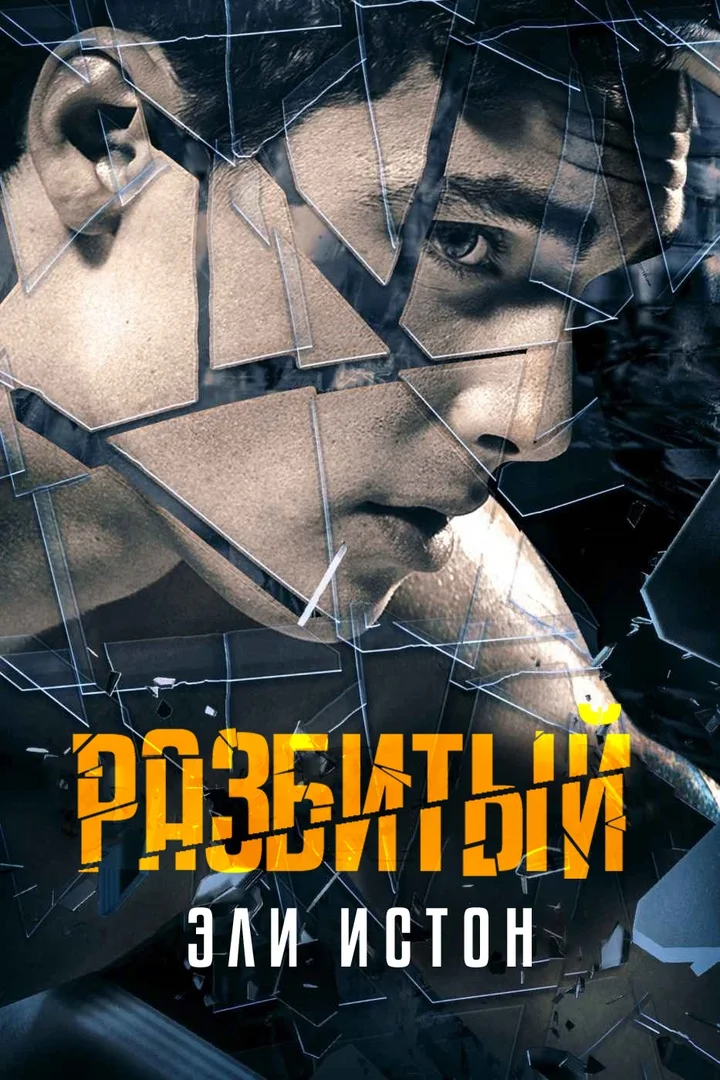 Обложка Разбитый