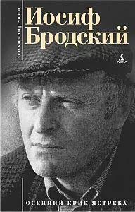 Обложка Стихи (2)