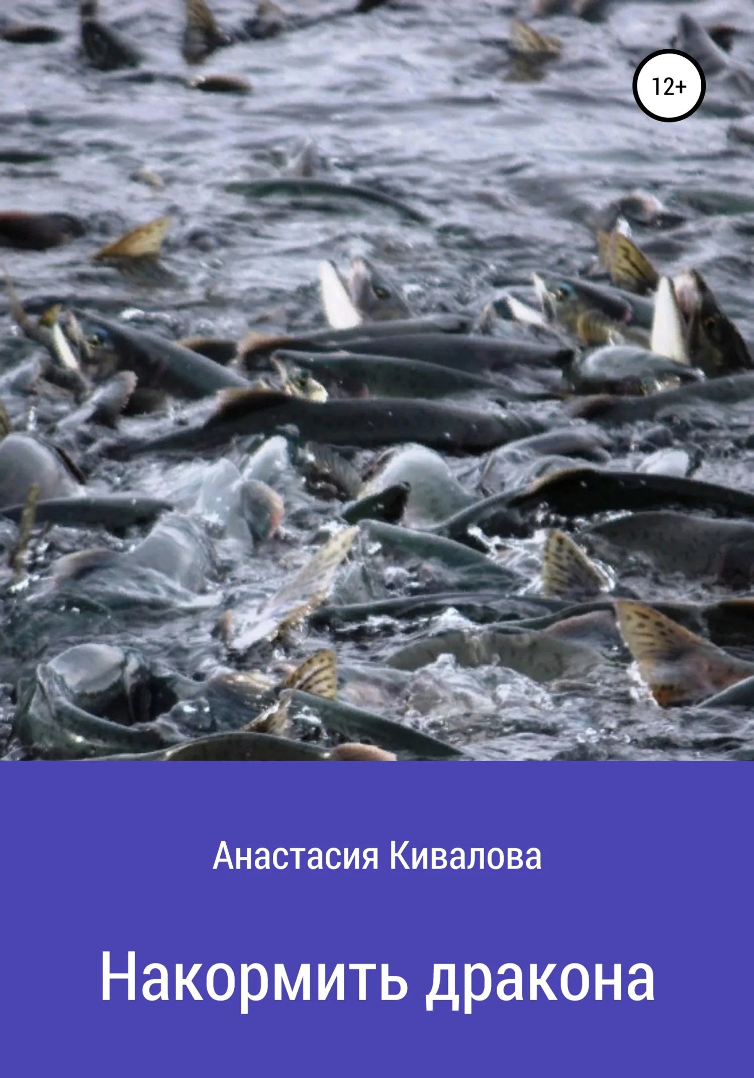 Обложка Накормить дракона