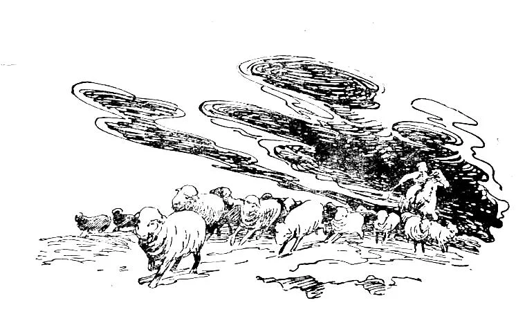 Обложка Дурамбай - зоркие глаза