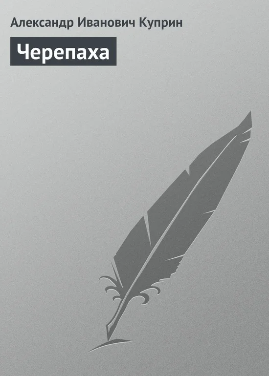 Обложка Черепаха