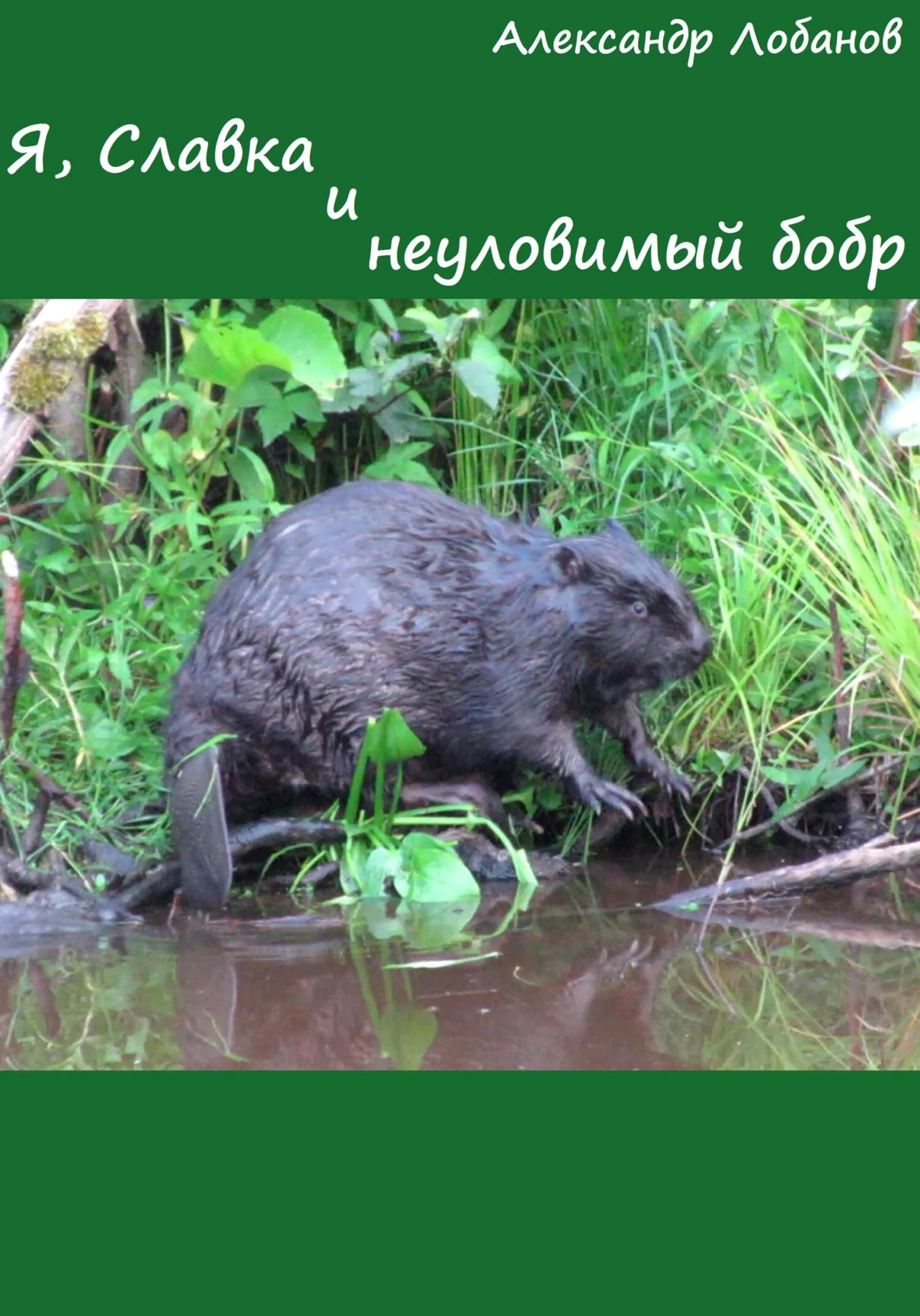 Обложка Я, Славка и неуловимый бобр