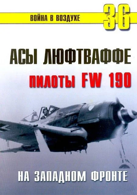 Обложка Асы люфтваффе пилоты Fw 190 на Западном фронте