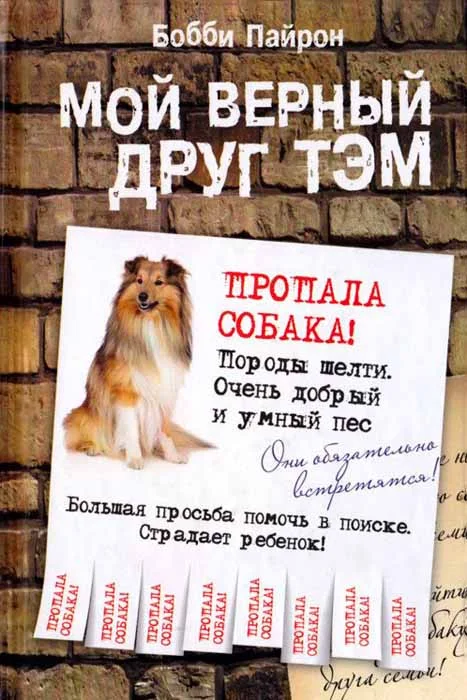 Обложка Мой верный друг Тэм