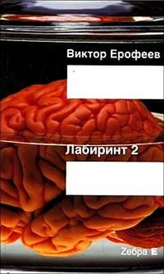 Обложка Лабиринт Два: Остается одно: Произвол