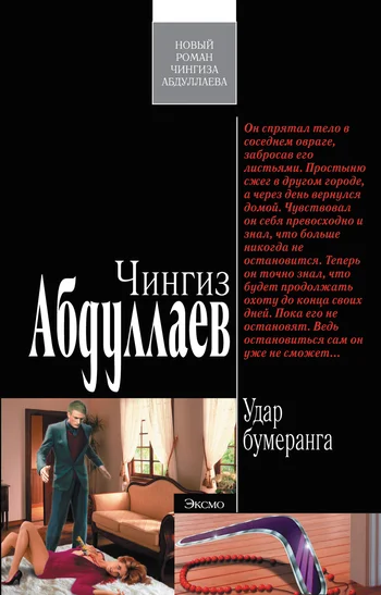 Обложка Удар бумеранга