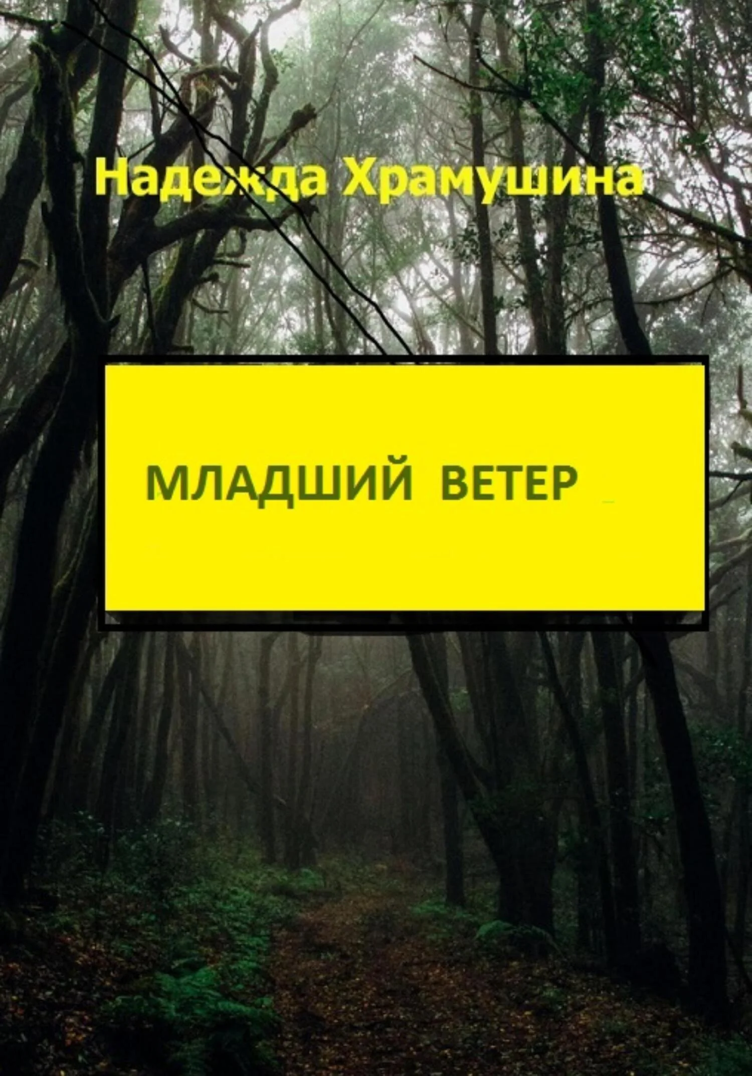 Обложка Младший ветер