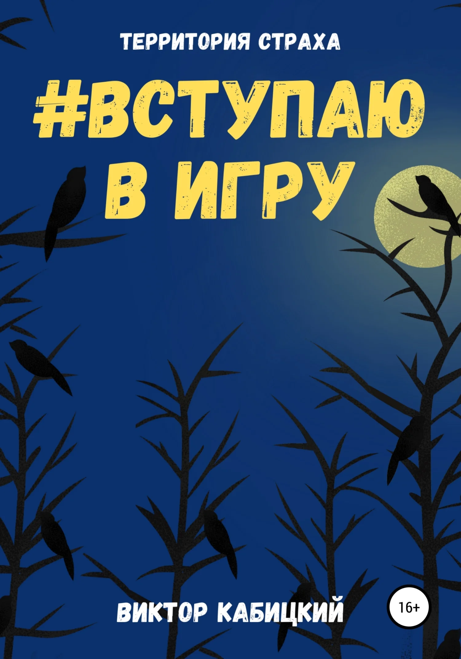 Обложка Вступаю в игру