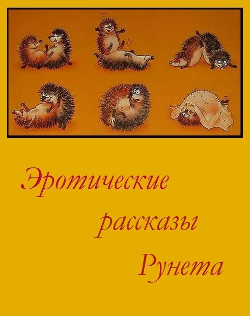 Обложка Эротические рассказы Рунета - Том 1