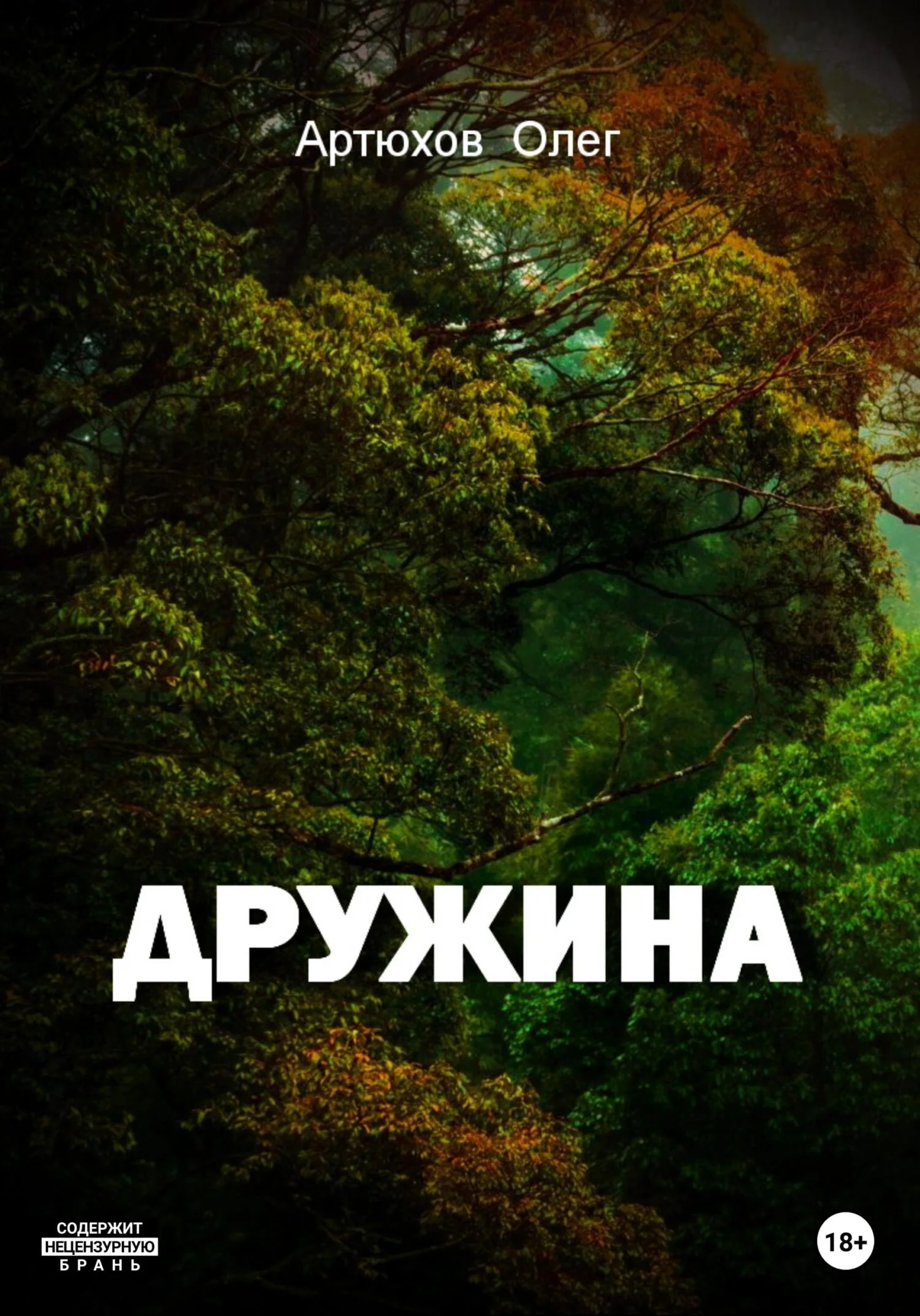 Обложка Дружина