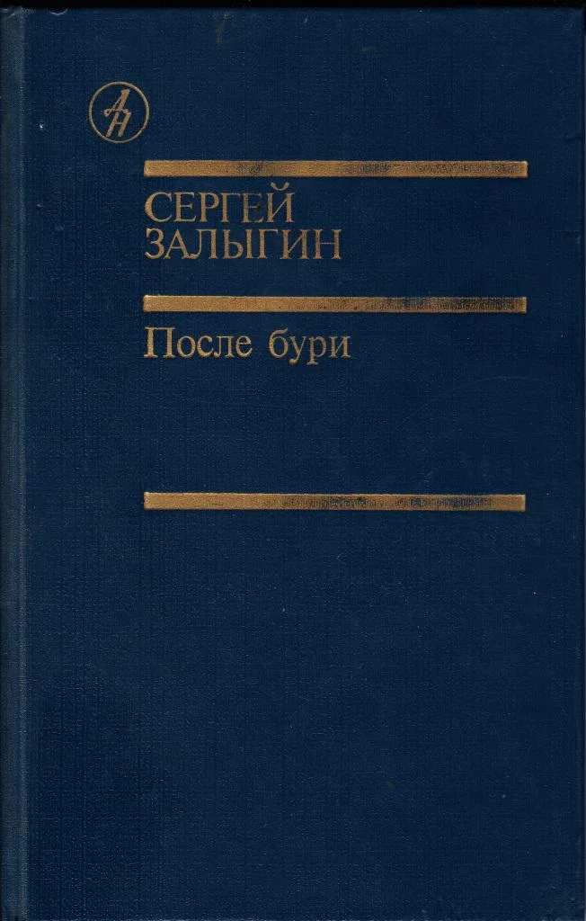 Обложка После бури. Книга первая