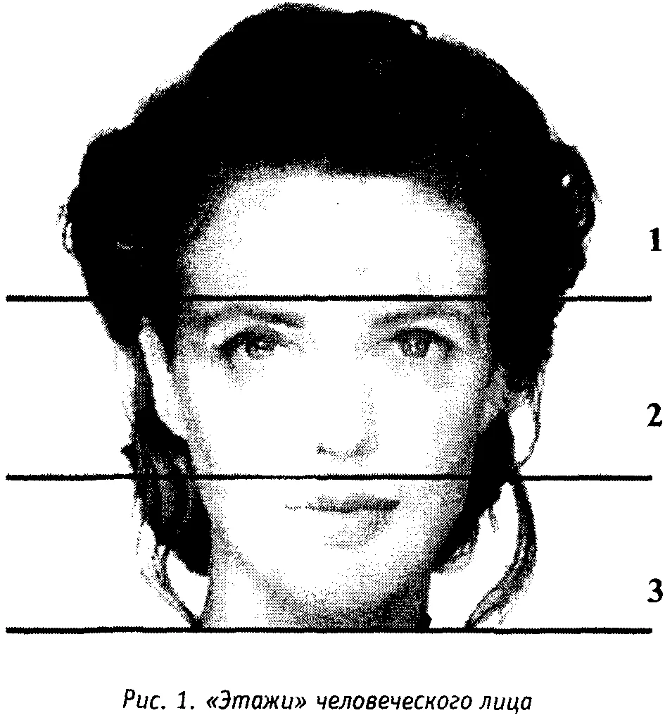 Обложка ПЛАСТИЛИН МИРА, или курс «НЛП-практик» как он есть.