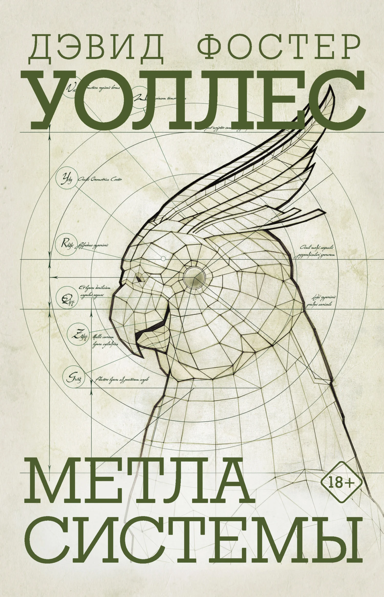 Обложка Метла системы