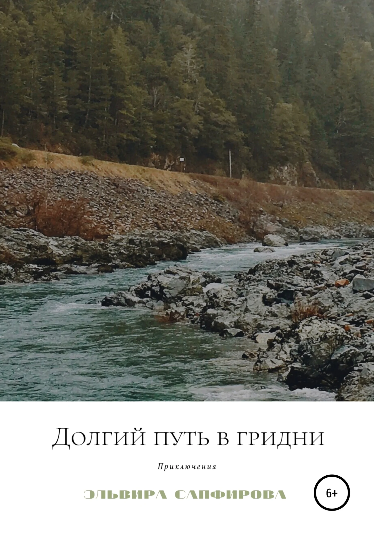 Обложка Долгий путь в Гридни