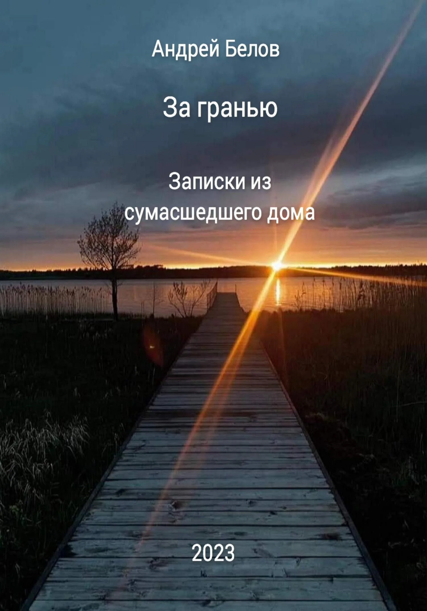 Обложка За гранью. Записки из сумасшедшего дома