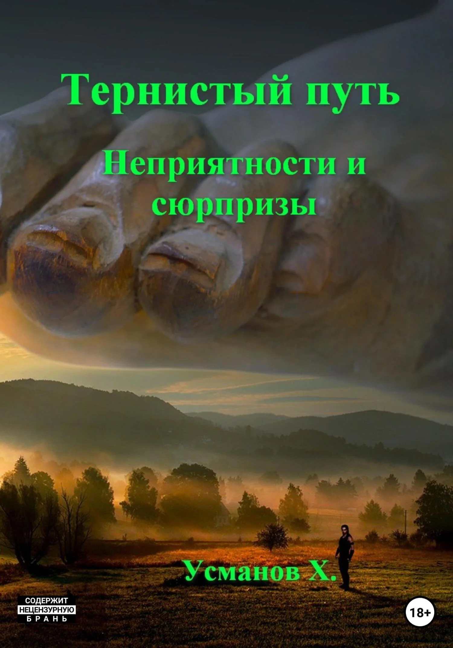 Обложка Неприятности и сюрпризы