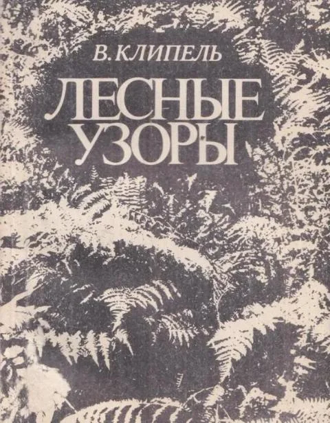 Обложка Лесные узоры