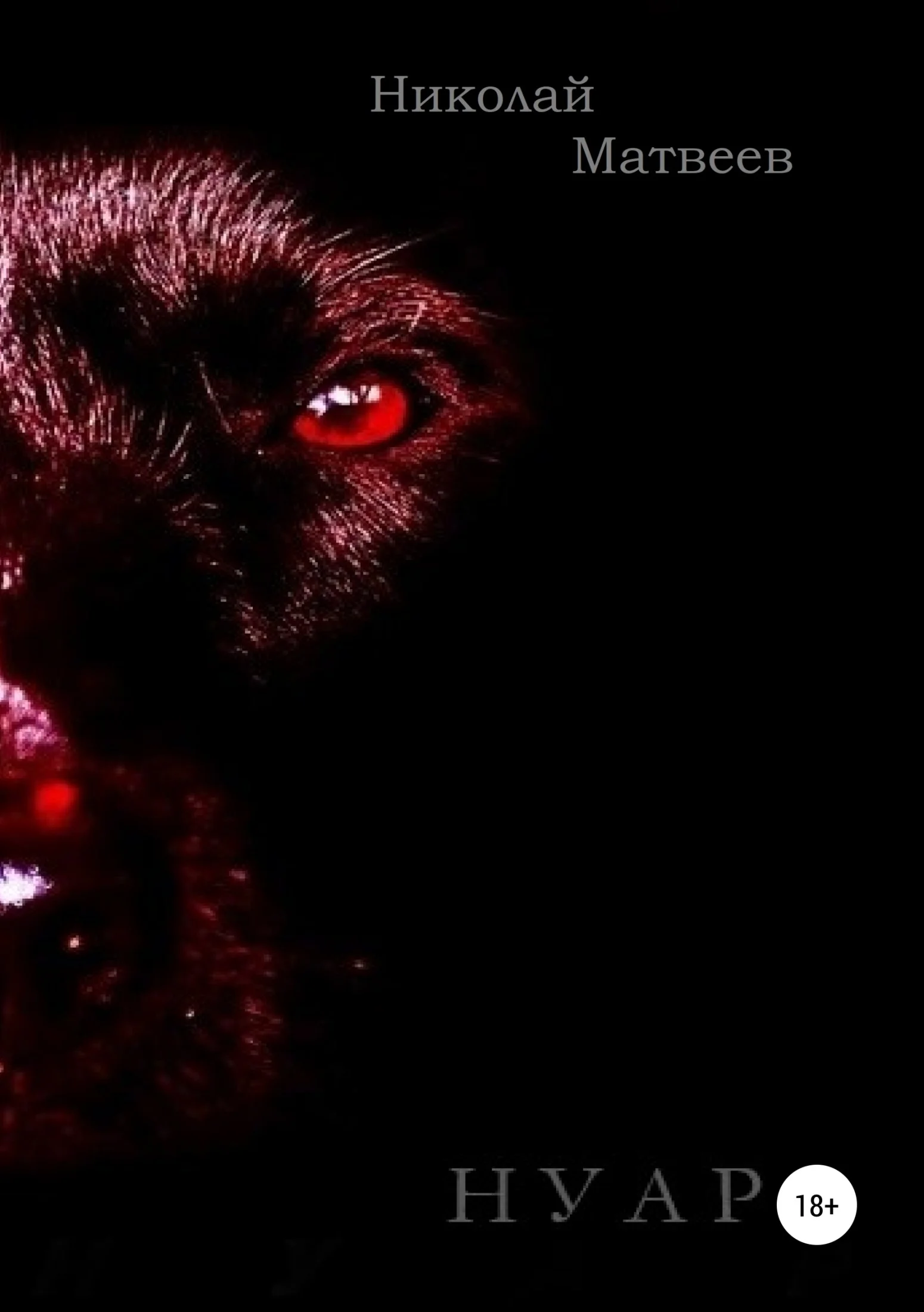 Обложка Нуар