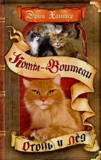 Обложка Огонь и лед