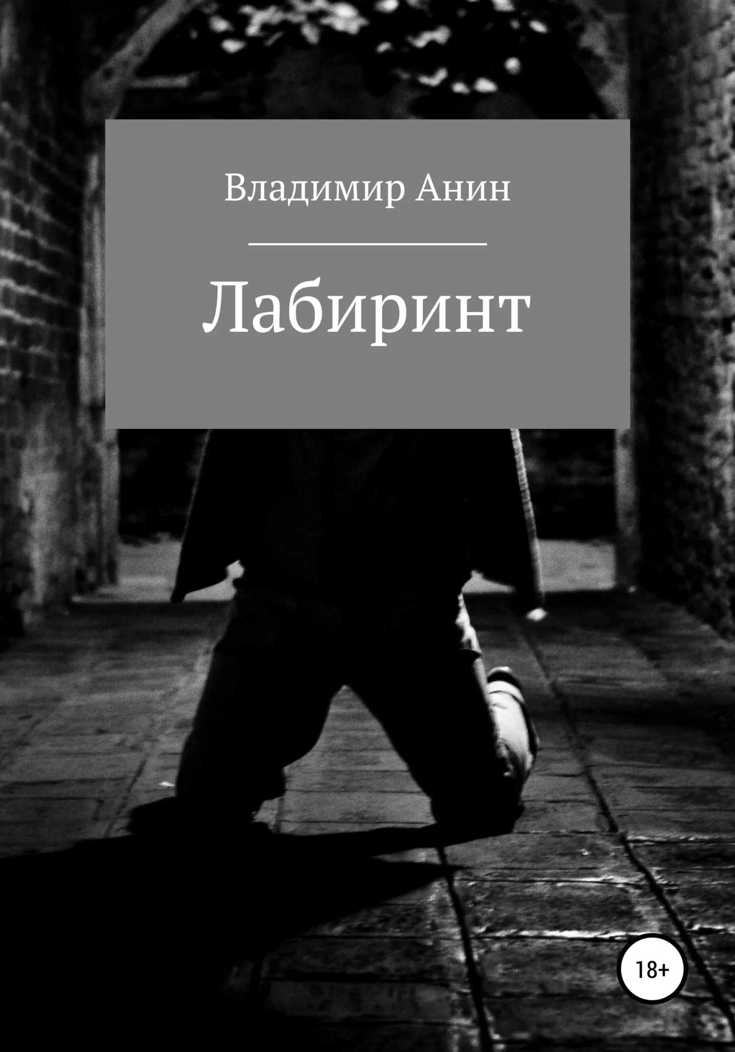 Обложка Лабиринт