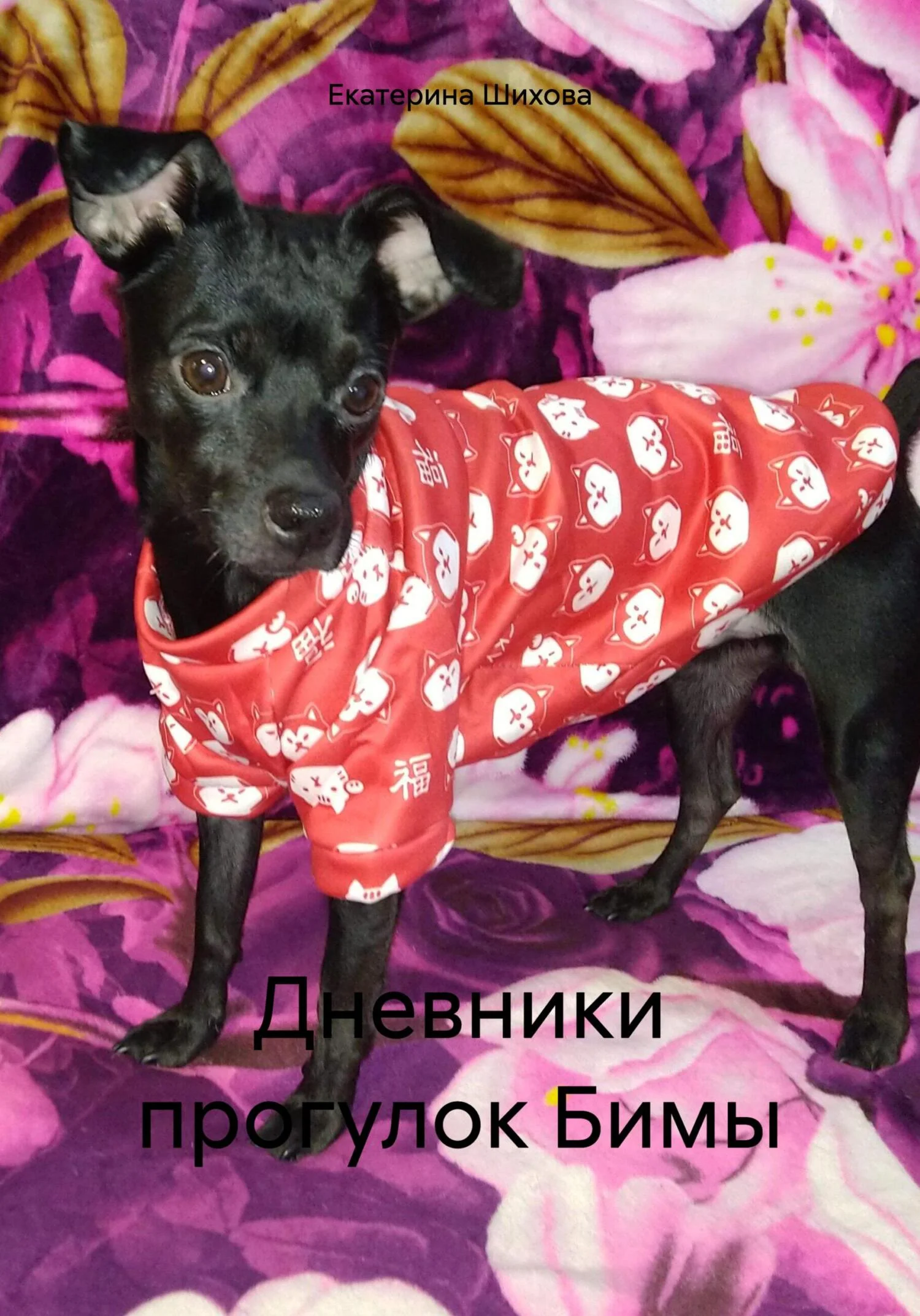 Обложка Дневники прогулок Бимы