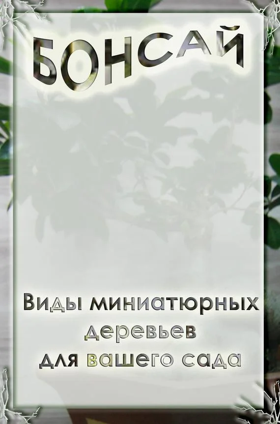 Обложка Виды миниатюрных деревьев для вашего сада