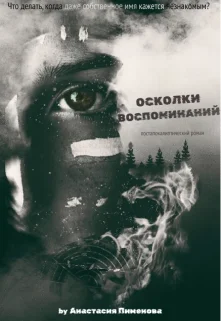 Обложка Осколки воспоминаний