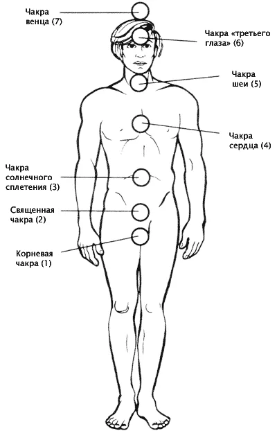 Обложка Чакры для начинающих