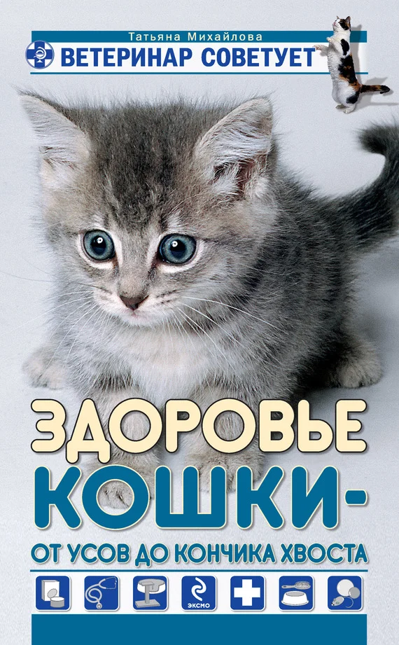 Обложка Здоровье кошки от усов до кончика хвоста